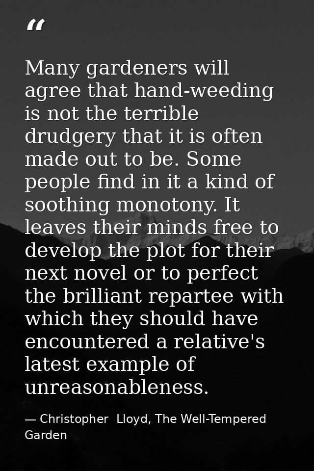 Many gardeners will agree that hand-weeding is not the terrible drudgery that it is often made out to be. Some people fi — Christopher  Lloyd, The Well-Tempered Garden