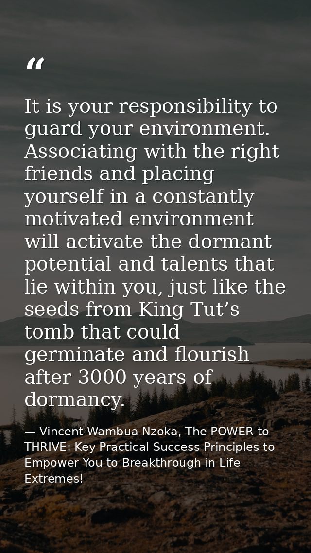 It is your responsibility to guard your environment. Associating with the right friends and placing yourself in a consta — Vincent Wambua Nzoka, The POWER to THRIVE: Key Practical Success Principles to Empower You to Breakthrough in Life Extremes!