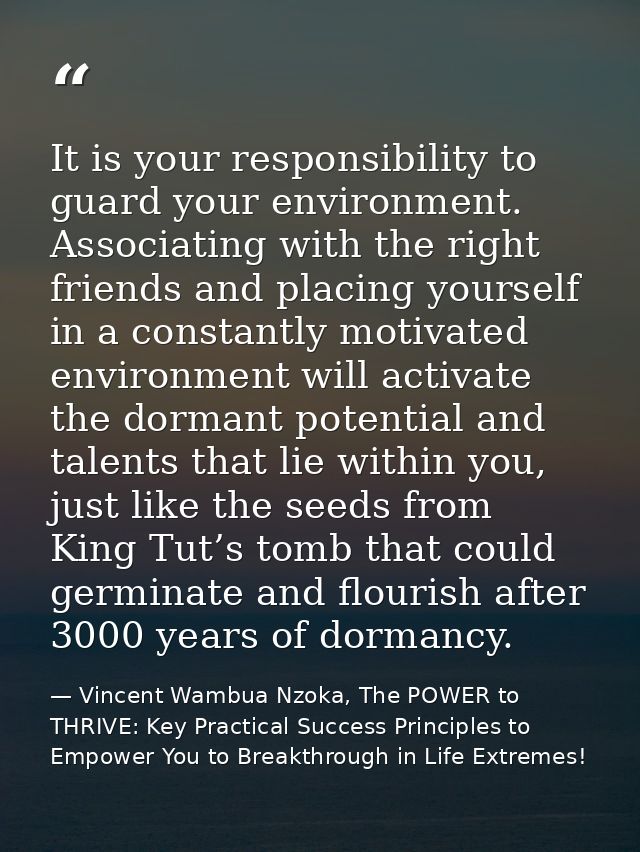 It is your responsibility to guard your environment. Associating with the right friends and placing yourself in a consta — Vincent Wambua Nzoka, The POWER to THRIVE: Key Practical Success Principles to Empower You to Breakthrough in Life Extremes!