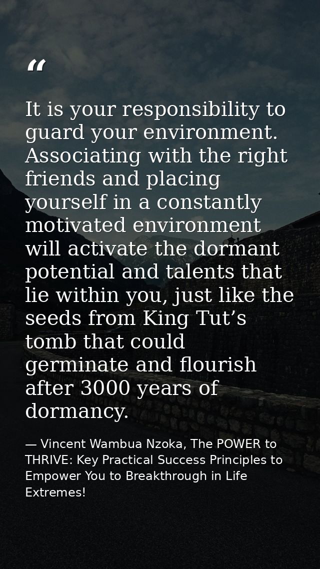 It is your responsibility to guard your environment. Associating with the right friends and placing yourself in a consta — Vincent Wambua Nzoka, The POWER to THRIVE: Key Practical Success Principles to Empower You to Breakthrough in Life Extremes!