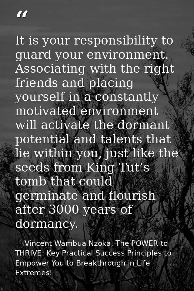 It is your responsibility to guard your environment. Associating with the right friends and placing yourself in a consta — Vincent Wambua Nzoka, The POWER to THRIVE: Key Practical Success Principles to Empower You to Breakthrough in Life Extremes!