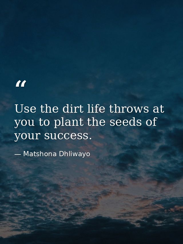 Use the dirt life throws at you to plant the seeds of your success. — Matshona Dhliwayo