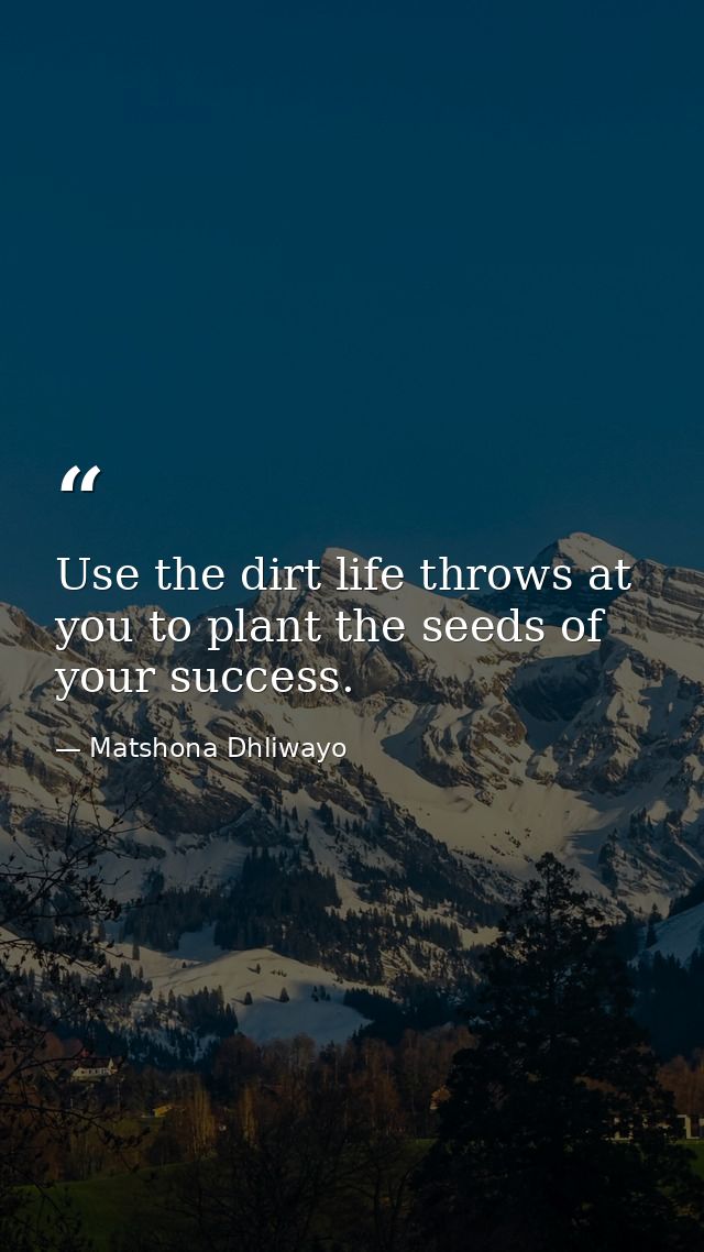 Use the dirt life throws at you to plant the seeds of your success. — Matshona Dhliwayo