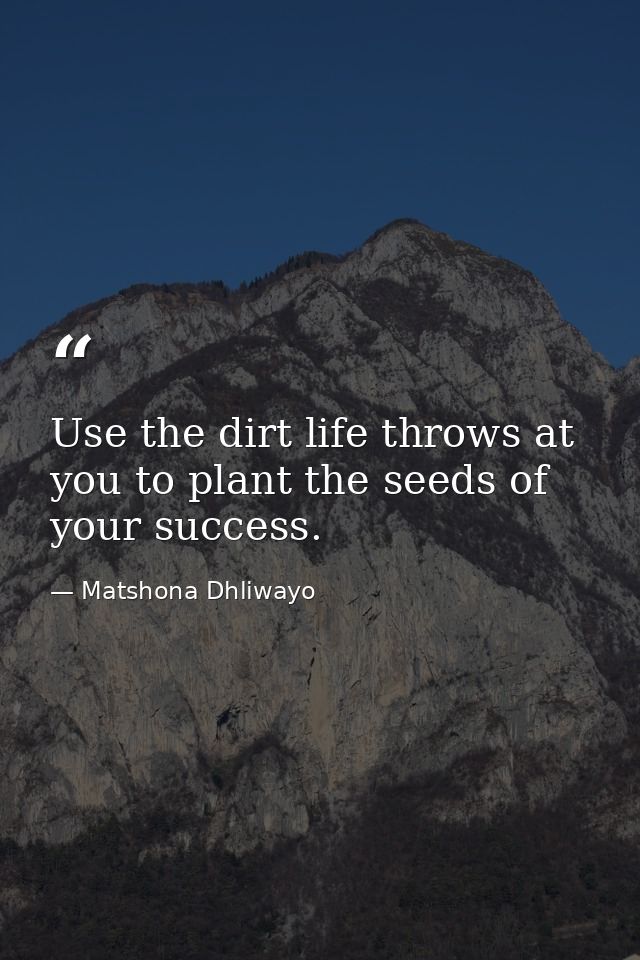 Use the dirt life throws at you to plant the seeds of your success. — Matshona Dhliwayo