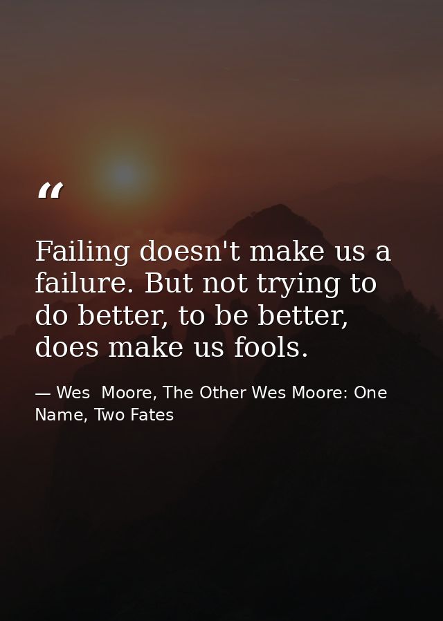 Failing doesn't make us a failure. But not trying to do better, to be better, does make us fools. — Wes  Moore, The Other Wes Moore: One Name, Two Fates