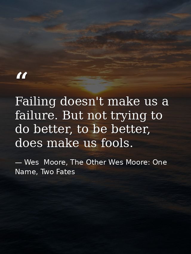 Failing doesn't make us a failure. But not trying to do better, to be better, does make us fools. — Wes  Moore, The Other Wes Moore: One Name, Two Fates