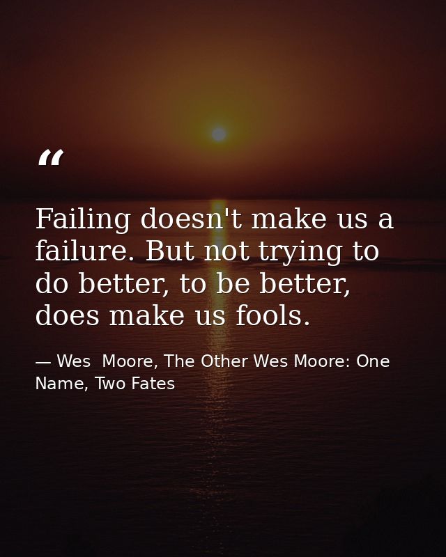 Failing doesn't make us a failure. But not trying to do better, to be better, does make us fools. — Wes  Moore, The Other Wes Moore: One Name, Two Fates