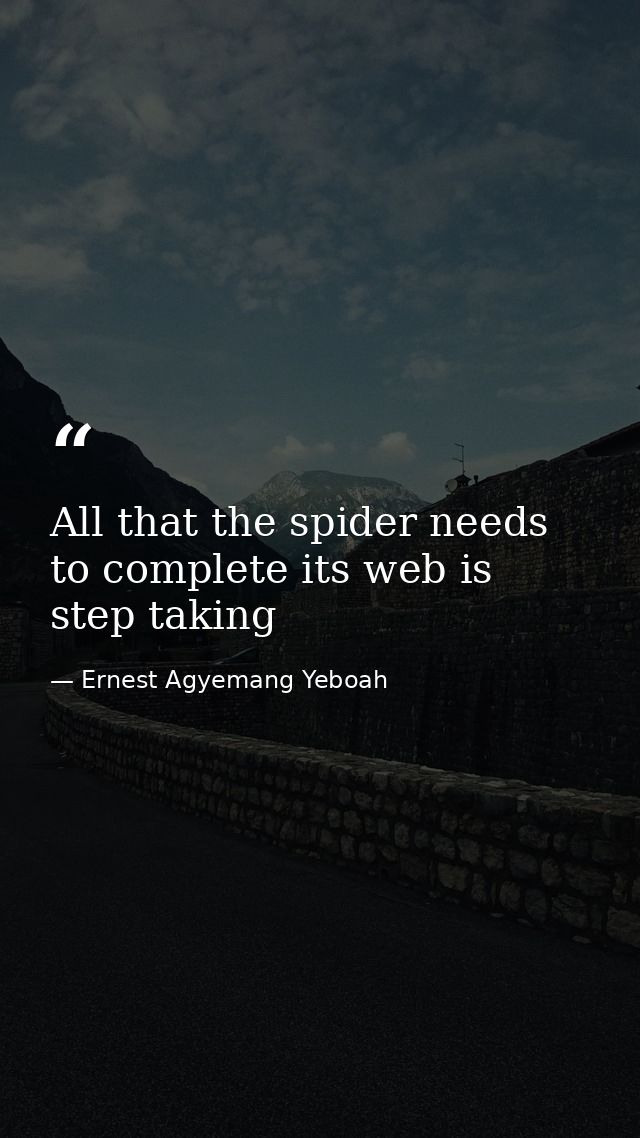 All that the spider needs to complete its web is step taking — Ernest Agyemang Yeboah