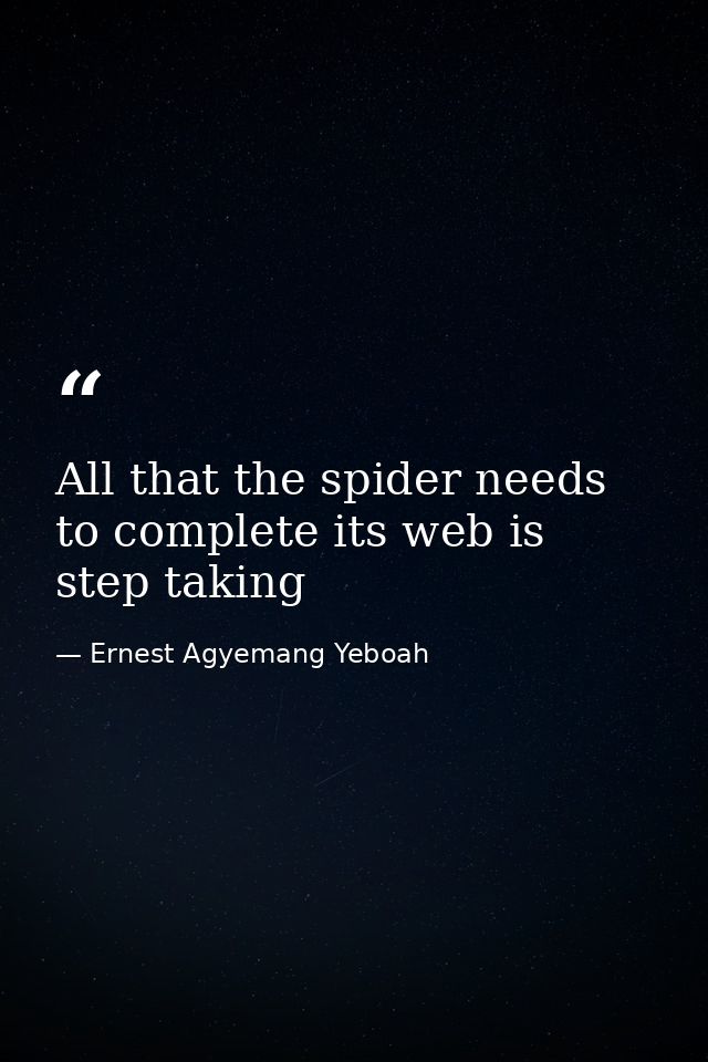 All that the spider needs to complete its web is step taking — Ernest Agyemang Yeboah