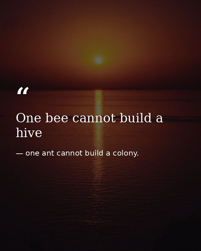 One bee cannot build a hive — one ant cannot build a colony.