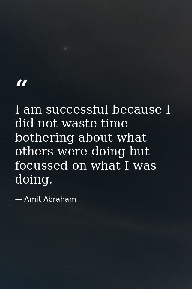 I am successful because I did not waste time bothering about what others were doing but focussed on what I was doing. — Amit Abraham