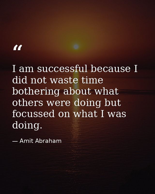 I am successful because I did not waste time bothering about what others were doing but focussed on what I was doing. — Amit Abraham