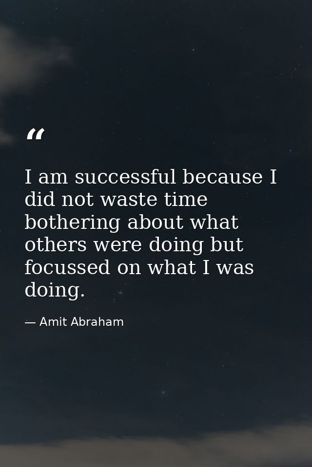 I am successful because I did not waste time bothering about what others were doing but focussed on what I was doing. — Amit Abraham