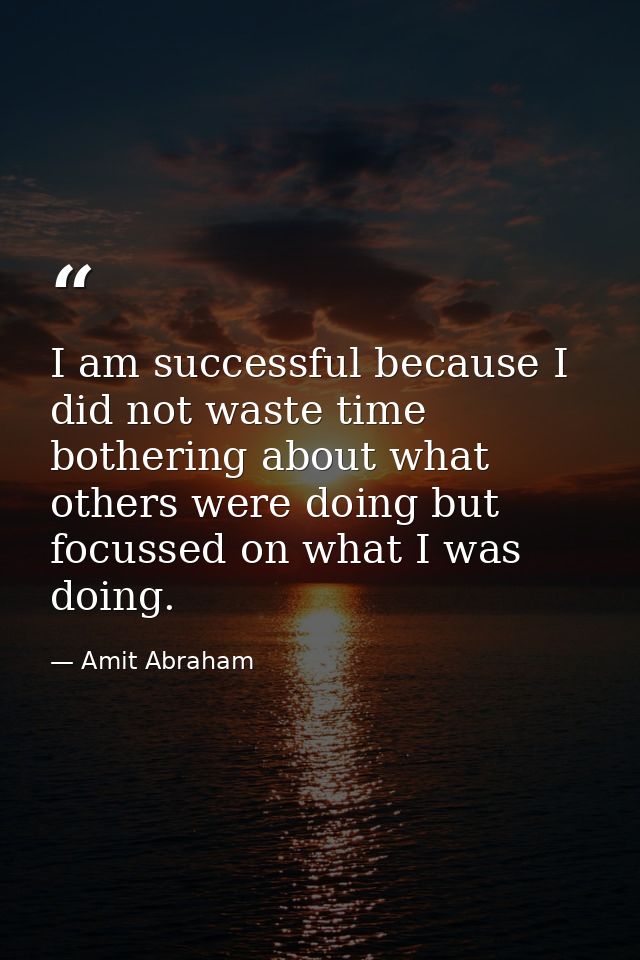 I am successful because I did not waste time bothering about what others were doing but focussed on what I was doing. — Amit Abraham