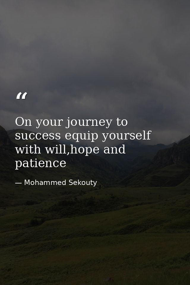 On your journey to success equip yourself with will,hope and patience — Mohammed Sekouty