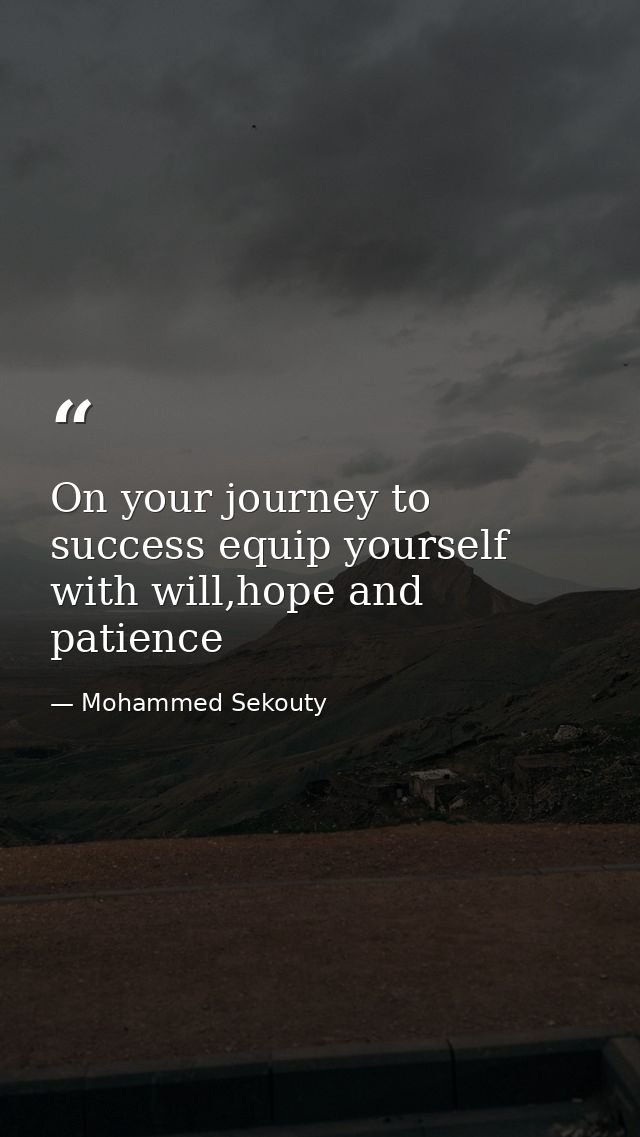 On your journey to success equip yourself with will,hope and patience — Mohammed Sekouty