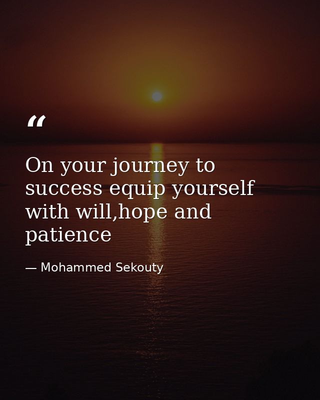 On your journey to success equip yourself with will,hope and patience — Mohammed Sekouty