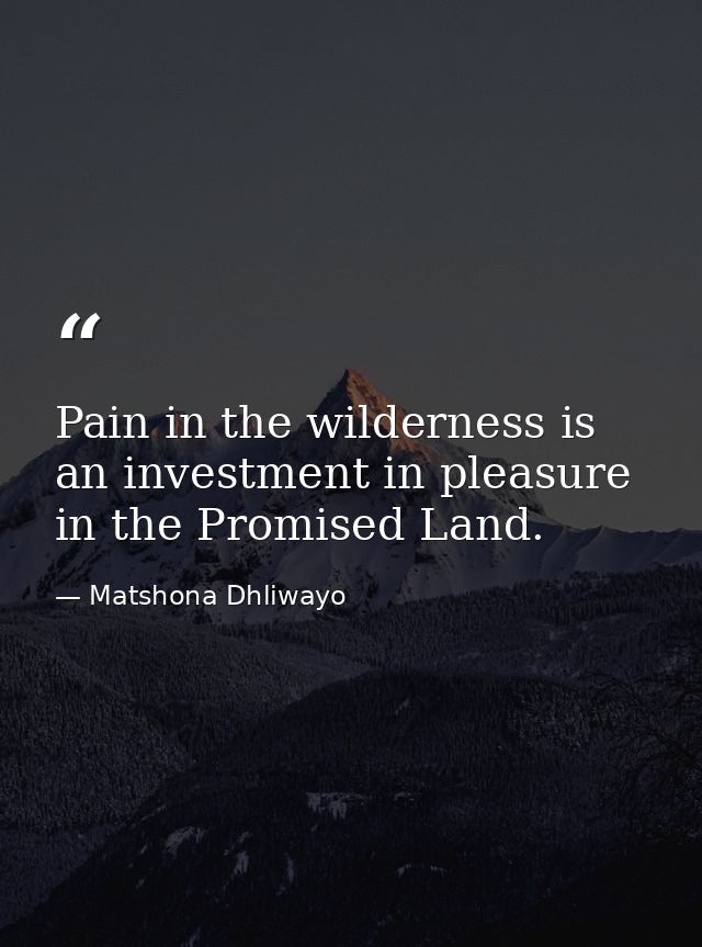 Pain in the wilderness is an investment in pleasure in the Promised Land. — Matshona Dhliwayo