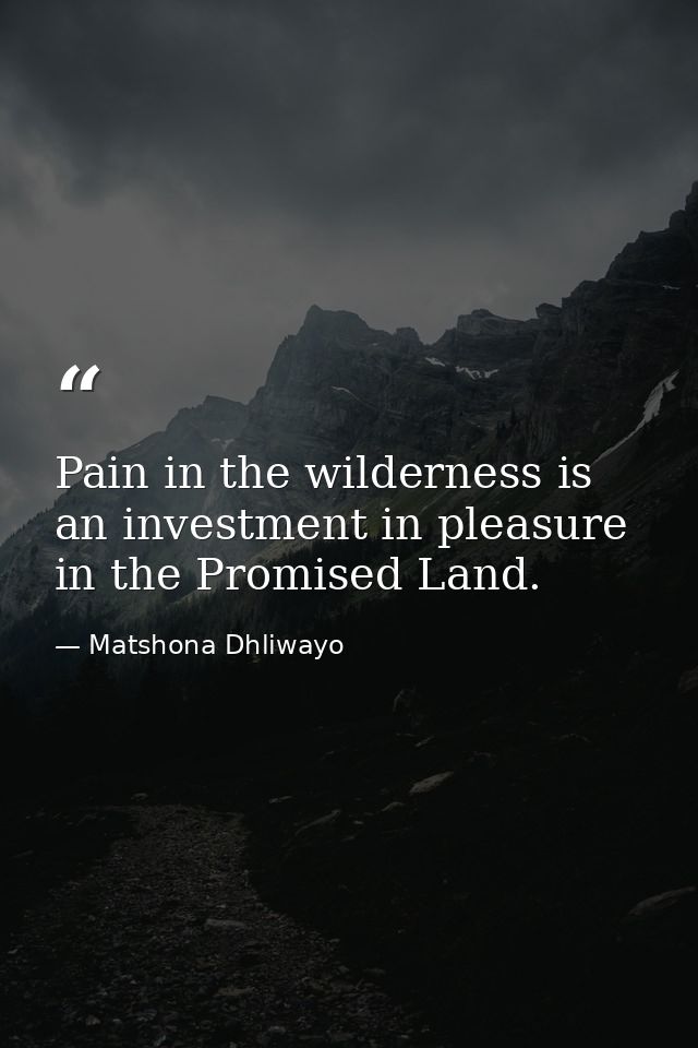 Pain in the wilderness is an investment in pleasure in the Promised Land. — Matshona Dhliwayo
