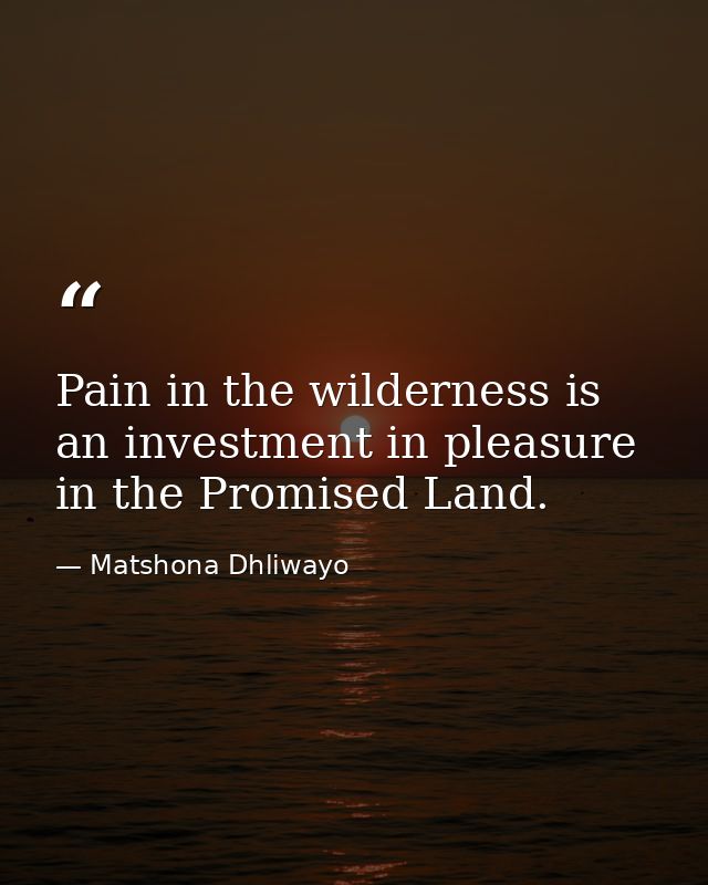 Pain in the wilderness is an investment in pleasure in the Promised Land. — Matshona Dhliwayo