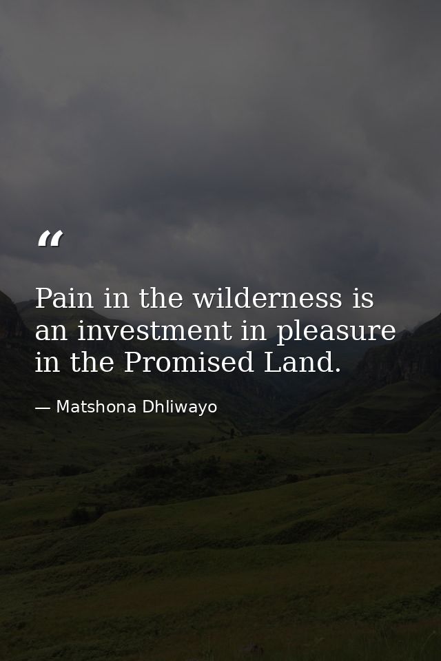 Pain in the wilderness is an investment in pleasure in the Promised Land. — Matshona Dhliwayo
