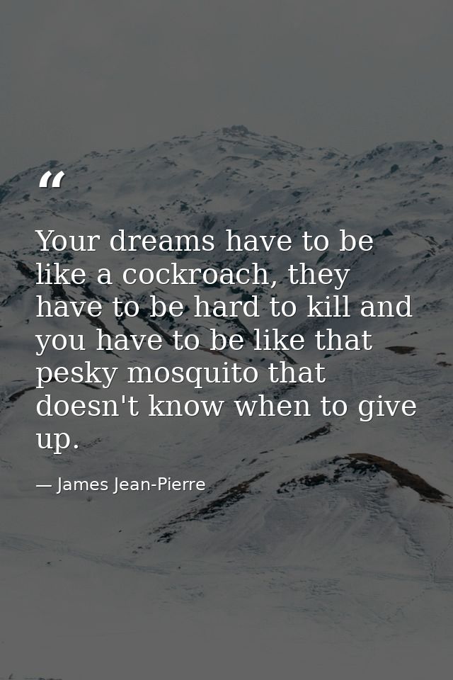Your dreams have to be like a cockroach, they have to be hard to kill and you have to be like that pesky mosquito that d — James Jean-Pierre