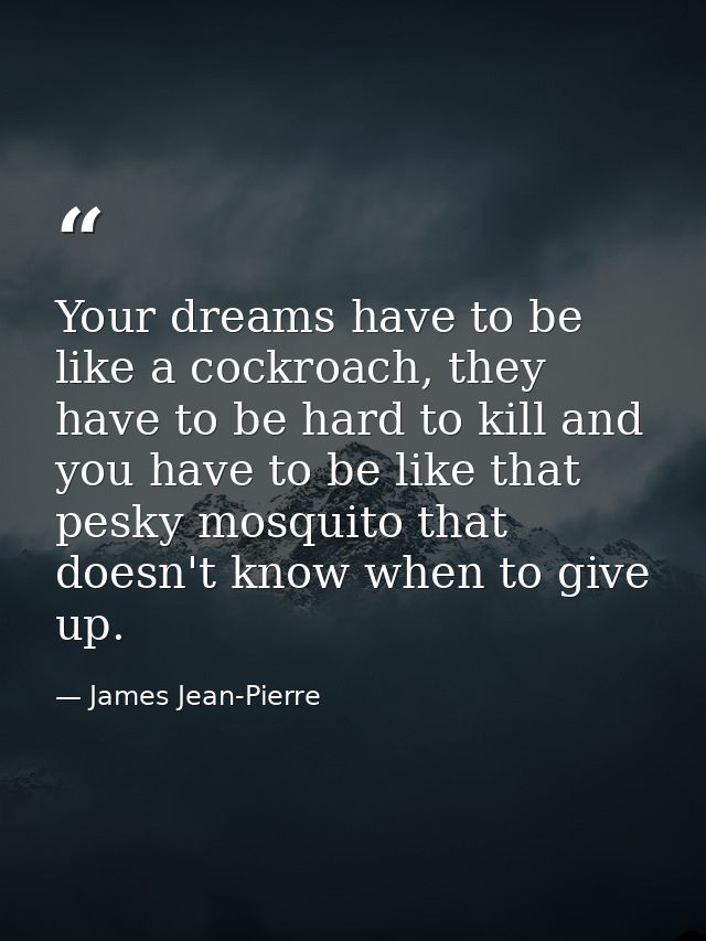 Your dreams have to be like a cockroach, they have to be hard to kill and you have to be like that pesky mosquito that d — James Jean-Pierre