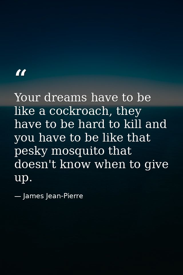 Your dreams have to be like a cockroach, they have to be hard to kill and you have to be like that pesky mosquito that d — James Jean-Pierre