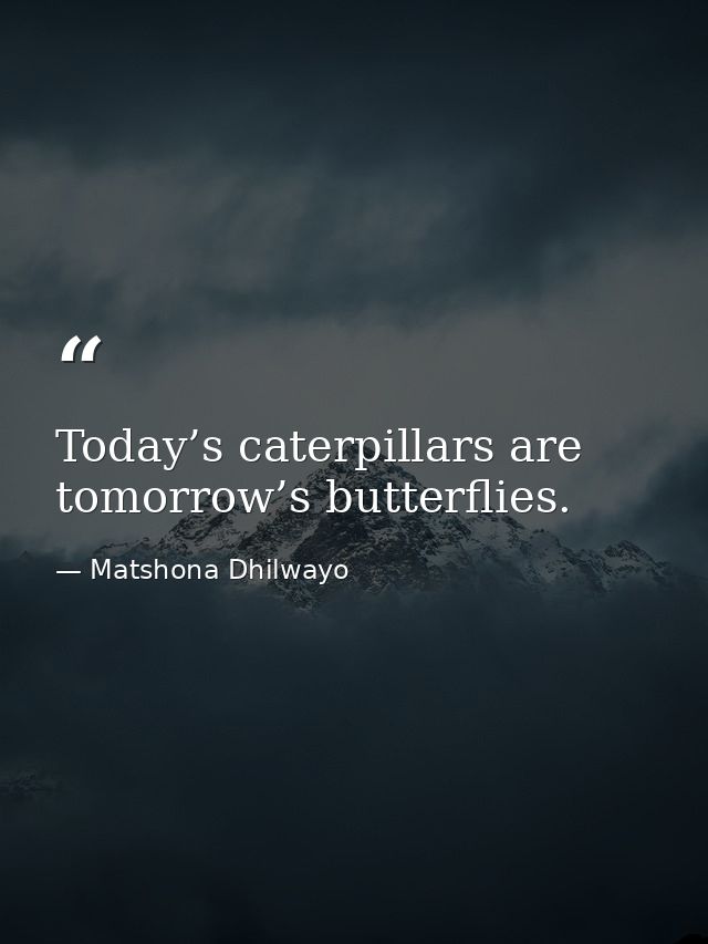 Today’s caterpillars are tomorrow’s butterflies. — Matshona Dhilwayo