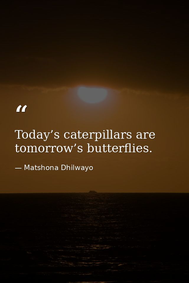 Today’s caterpillars are tomorrow’s butterflies. — Matshona Dhilwayo