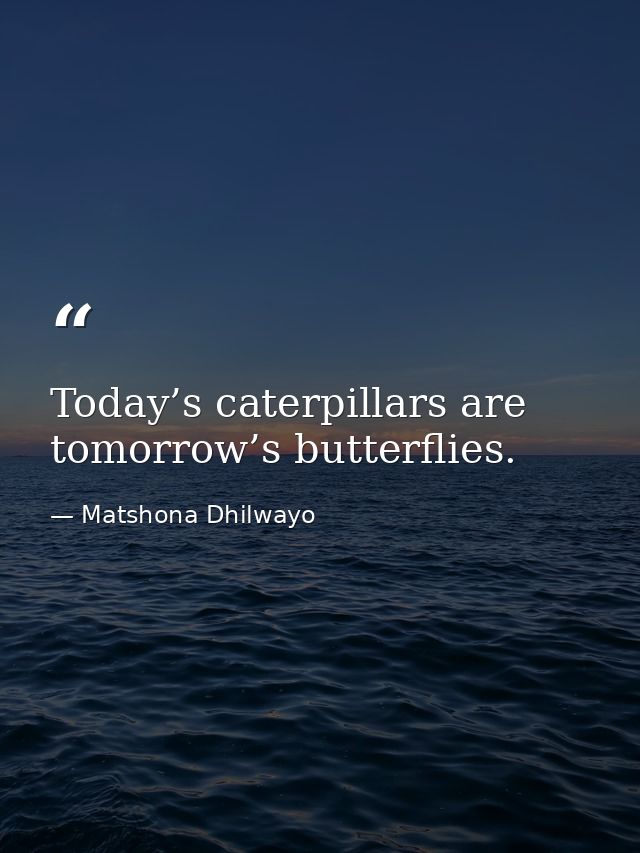 Today’s caterpillars are tomorrow’s butterflies. — Matshona Dhilwayo