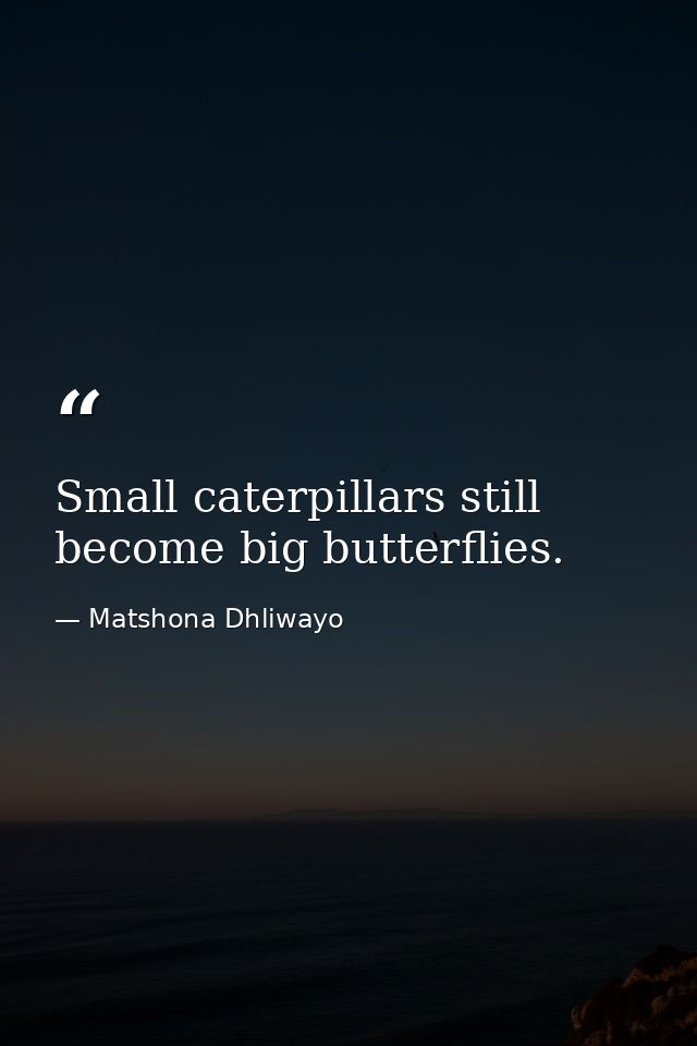 Small caterpillars still become big butterflies. — Matshona Dhliwayo