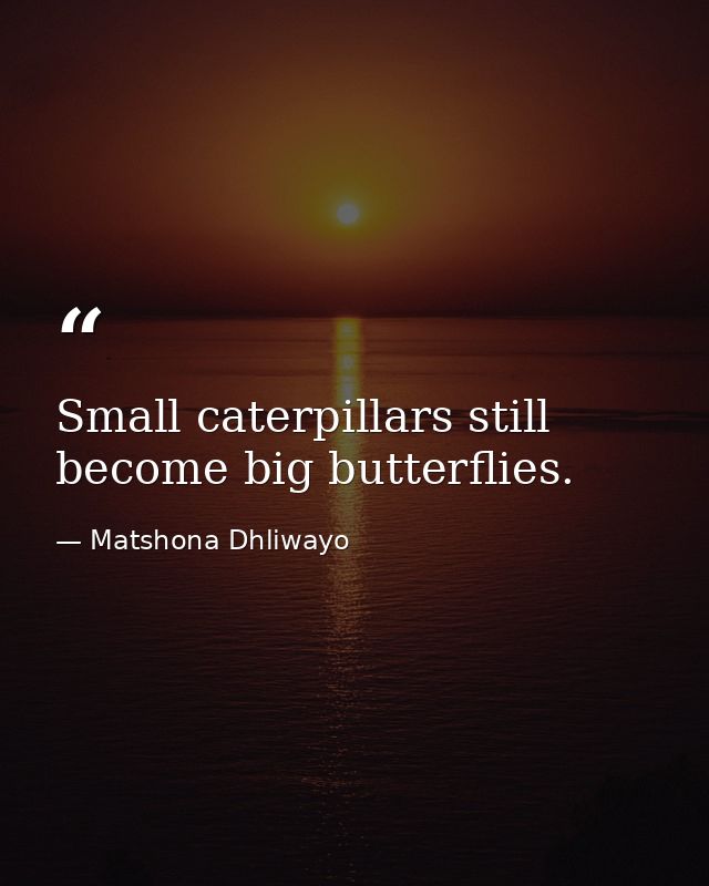 Small caterpillars still become big butterflies. — Matshona Dhliwayo