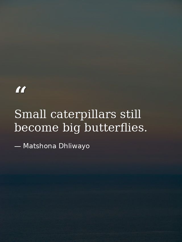 Small caterpillars still become big butterflies. — Matshona Dhliwayo