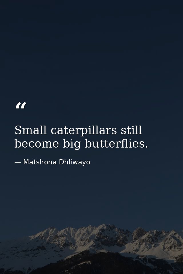 Small caterpillars still become big butterflies. — Matshona Dhliwayo