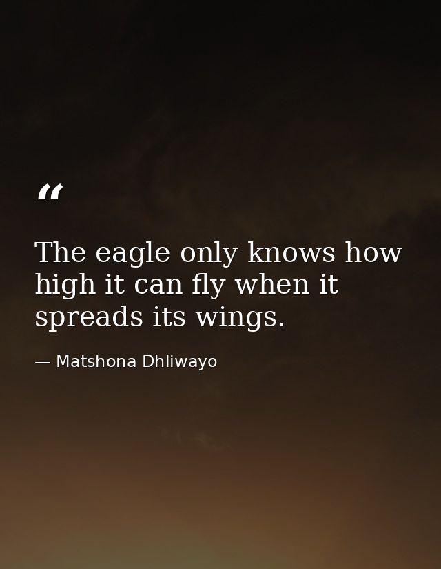 The eagle only knows how high it can fly when it spreads its wings. — Matshona Dhliwayo