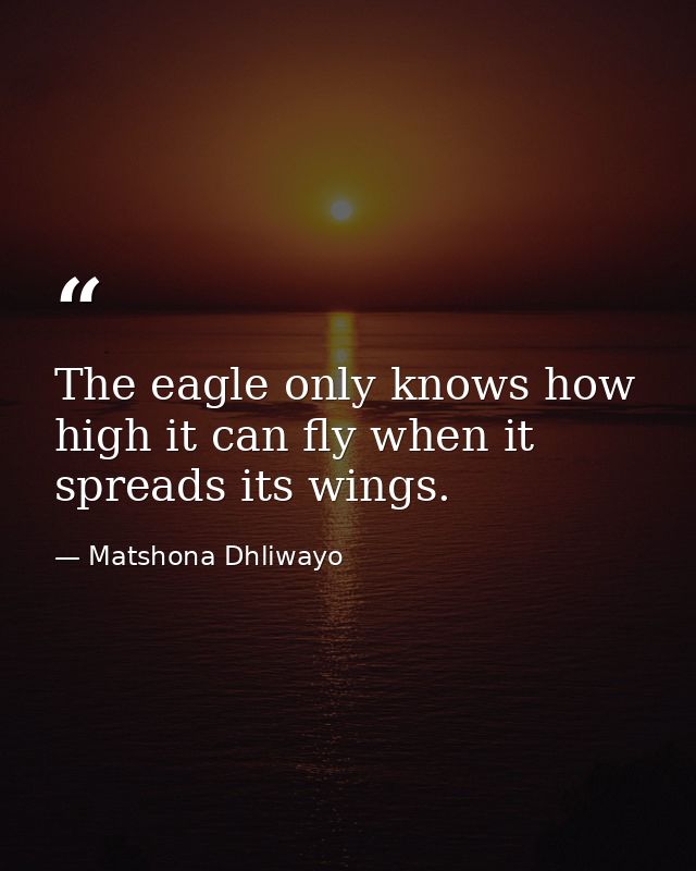 The eagle only knows how high it can fly when it spreads its wings. — Matshona Dhliwayo