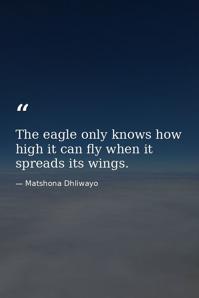 The eagle only knows how high it can fly when it spreads its wings. — Matshona Dhliwayo