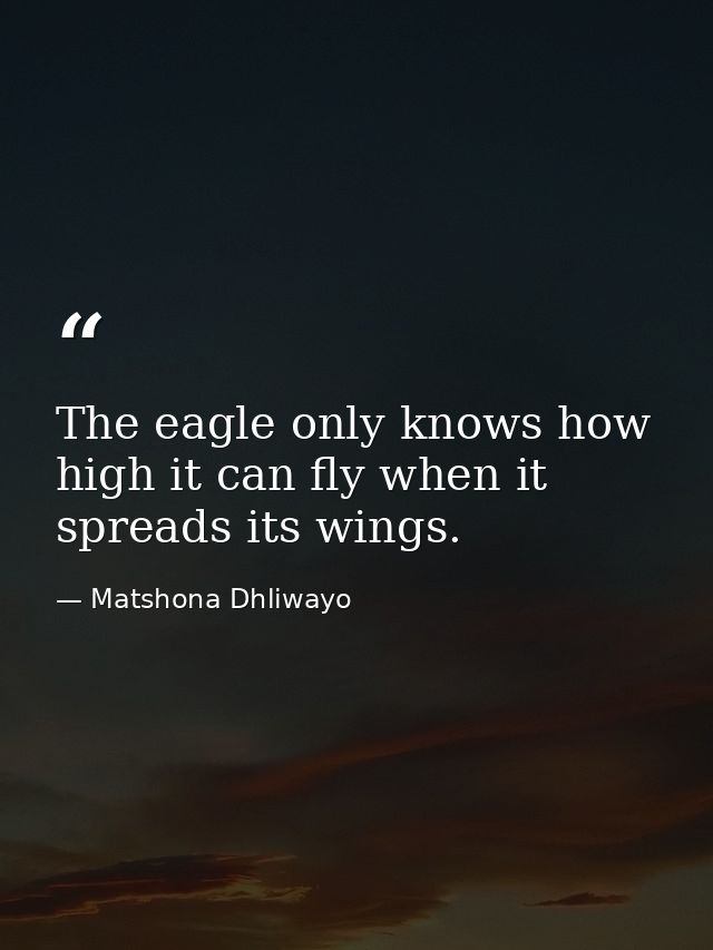 The eagle only knows how high it can fly when it spreads its wings. — Matshona Dhliwayo