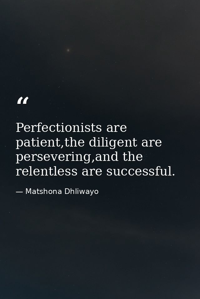Perfectionists are patient,the diligent are persevering,and the relentless are successful. — Matshona Dhliwayo