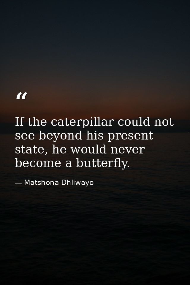 If the caterpillar could not see beyond his present state, he would never become a butterfly. — Matshona Dhliwayo