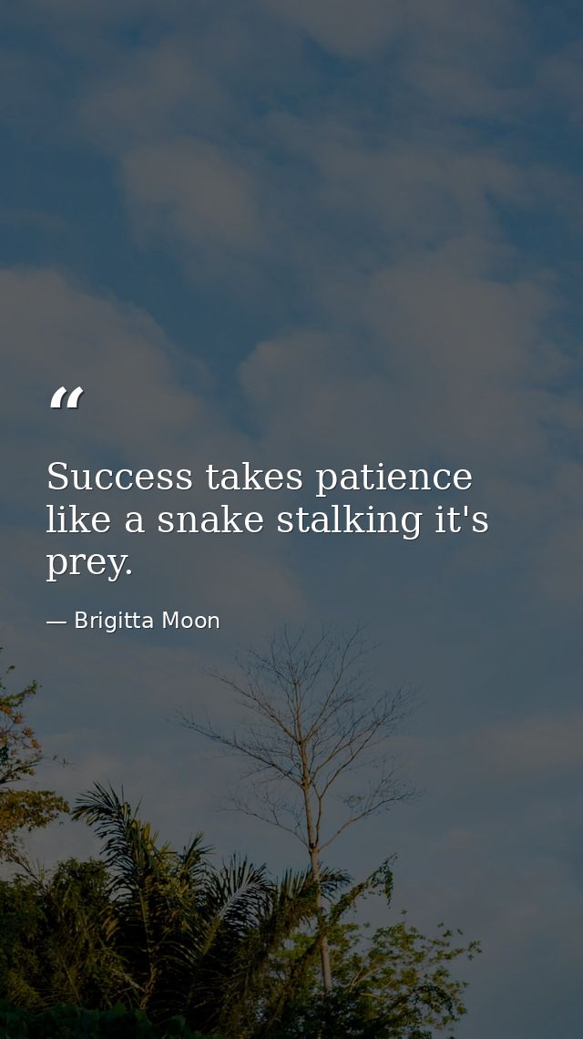 Success takes patience like a snake stalking it's prey. — Brigitta Moon