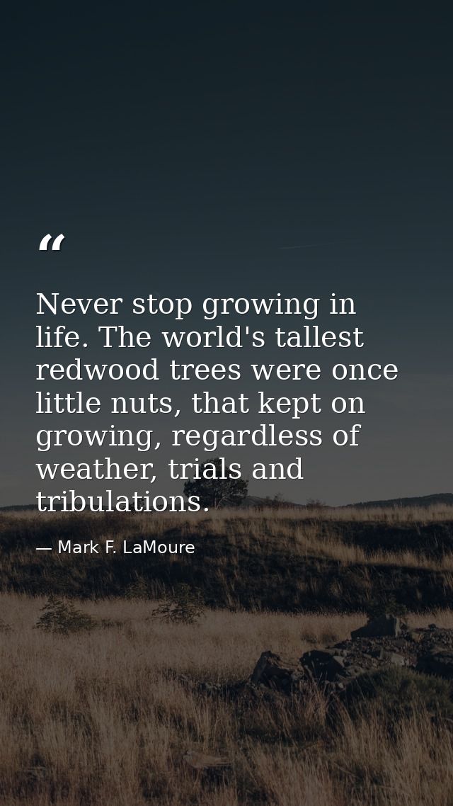 Never stop growing in life. The world's tallest redwood trees were once little nuts, that kept on growing, regardless of — Mark F. LaMoure