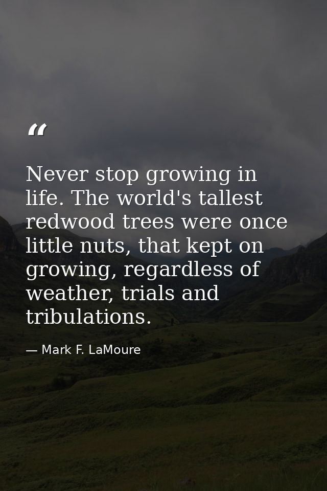 Never stop growing in life. The world's tallest redwood trees were once little nuts, that kept on growing, regardless of — Mark F. LaMoure