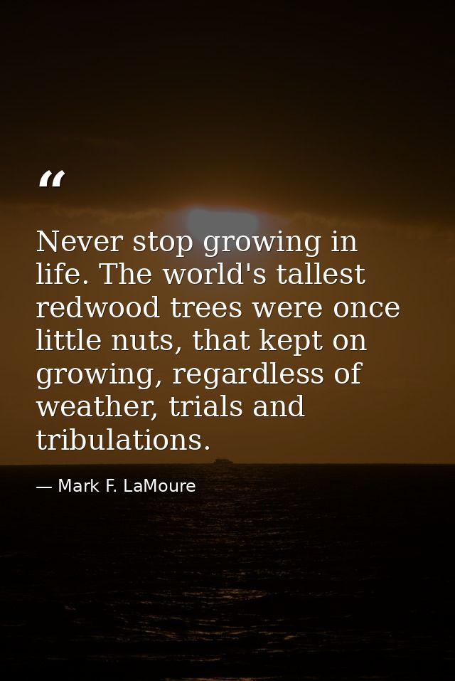 Never stop growing in life. The world's tallest redwood trees were once little nuts, that kept on growing, regardless of — Mark F. LaMoure