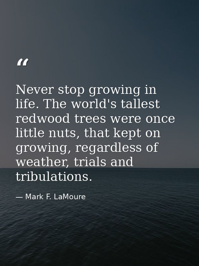 Never stop growing in life. The world's tallest redwood trees were once little nuts, that kept on growing, regardless of — Mark F. LaMoure