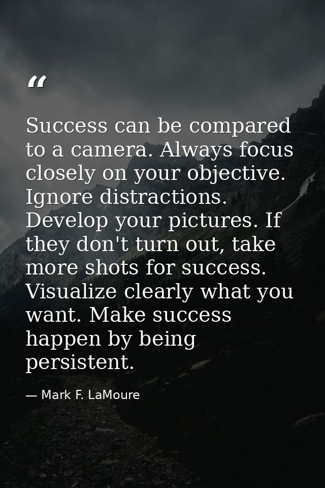 Success can be compared to a camera. Always focus closely on your objective. Ignore distractions. Develop your pictures. — Mark F. LaMoure