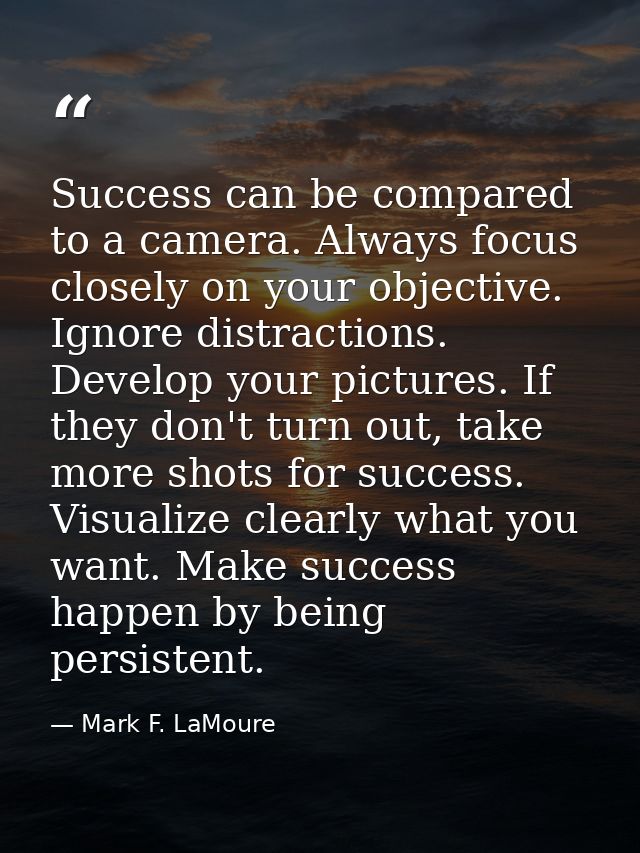 Success can be compared to a camera. Always focus closely on your objective. Ignore distractions. Develop your pictures. — Mark F. LaMoure