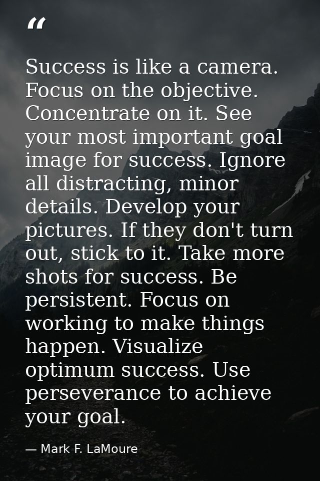 Success is like a camera. Focus on the objective. Concentrate on it. See your most important goal image for success. Ign — Mark F. LaMoure