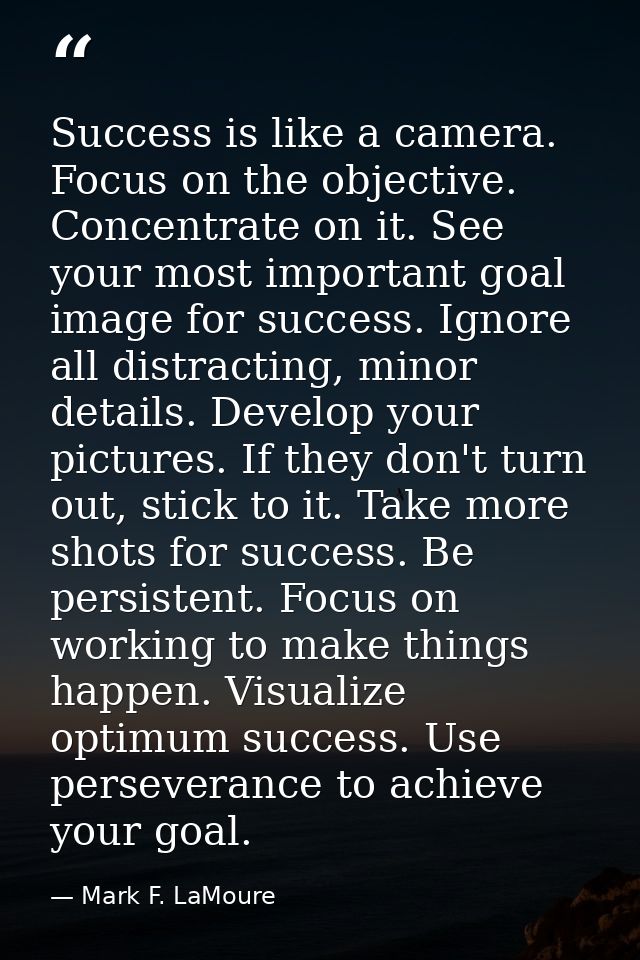 Success is like a camera. Focus on the objective. Concentrate on it. See your most important goal image for success. Ign — Mark F. LaMoure